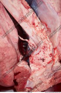 RAW meat pork viscera 0047